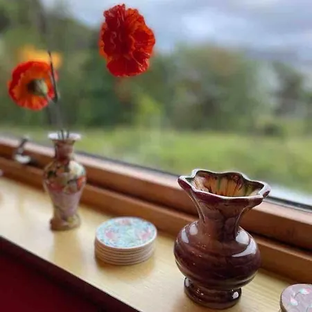 Northern Light Lofoten * Sennesvik