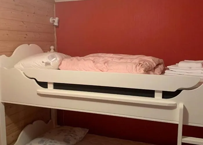 Northern Light Lofoten