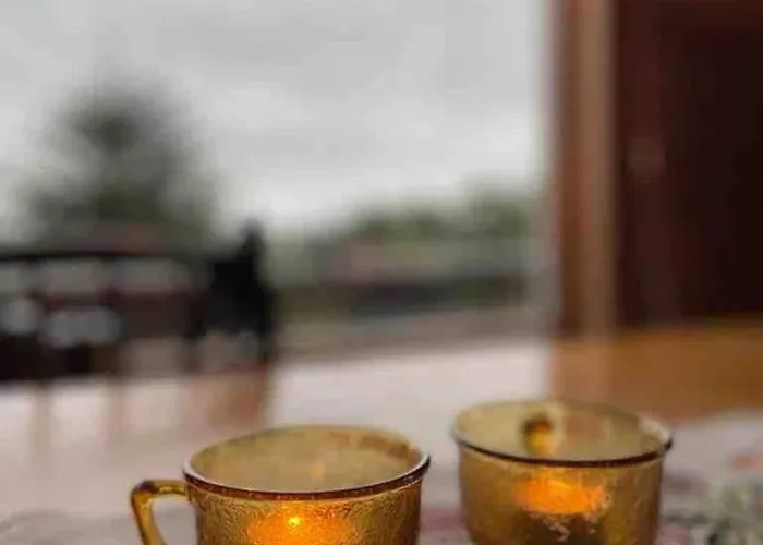 Northern Light Lofoten Feriehus