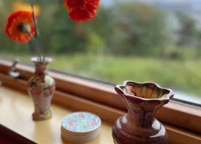 Northern Light Lofoten * Sennesvik