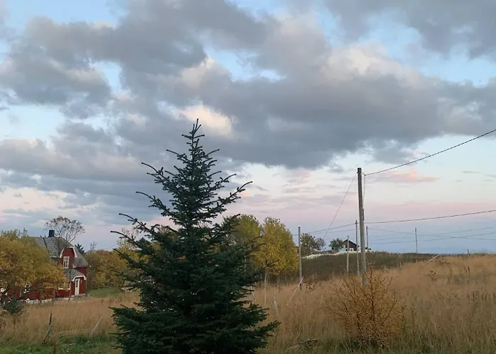 Northern Light Lofoten Feriehus *