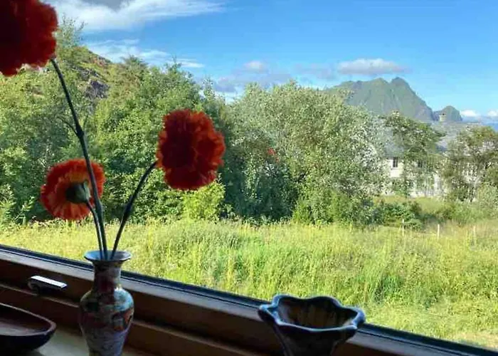 Northern Light Lofoten Sennesvik