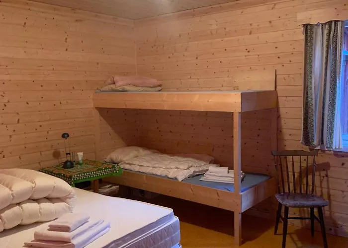 Northern Light Lofoten